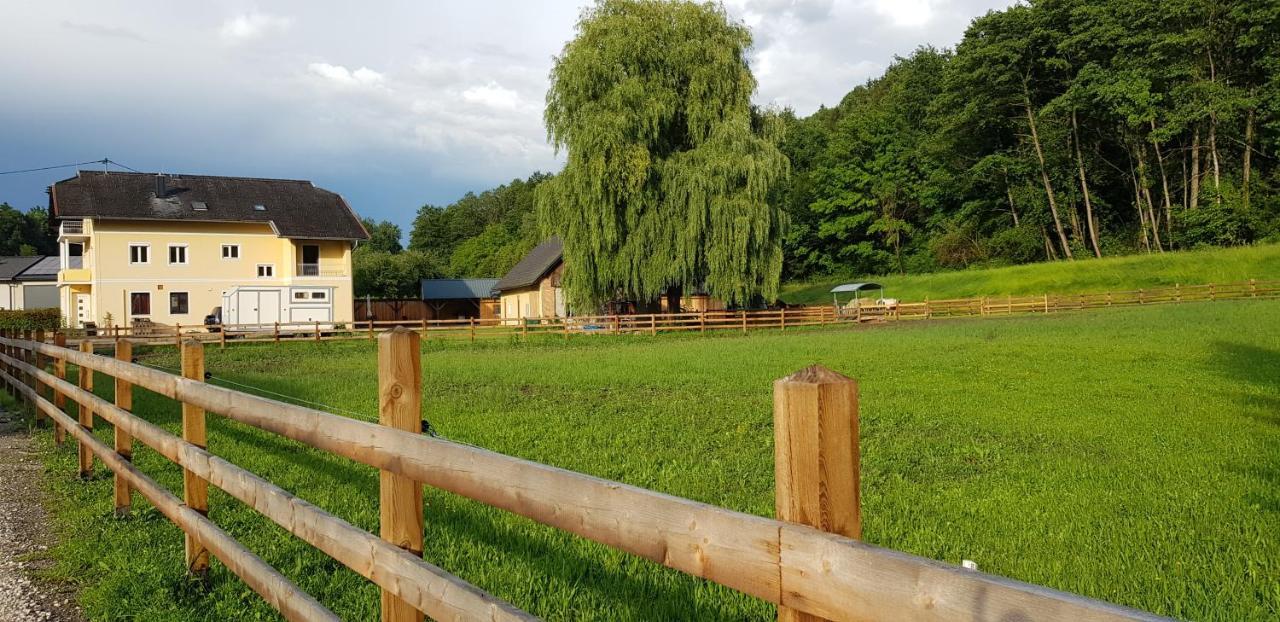 Apartamento Haus Seidendorf Sankt Kanzian am Klopeiner See Exterior foto